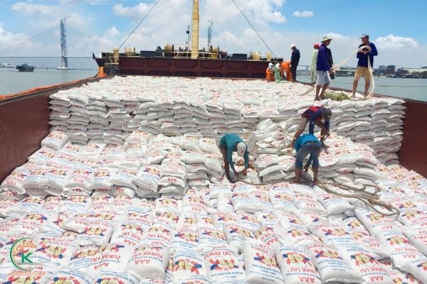 Discovering wholesale rice – the most successful agricultural market