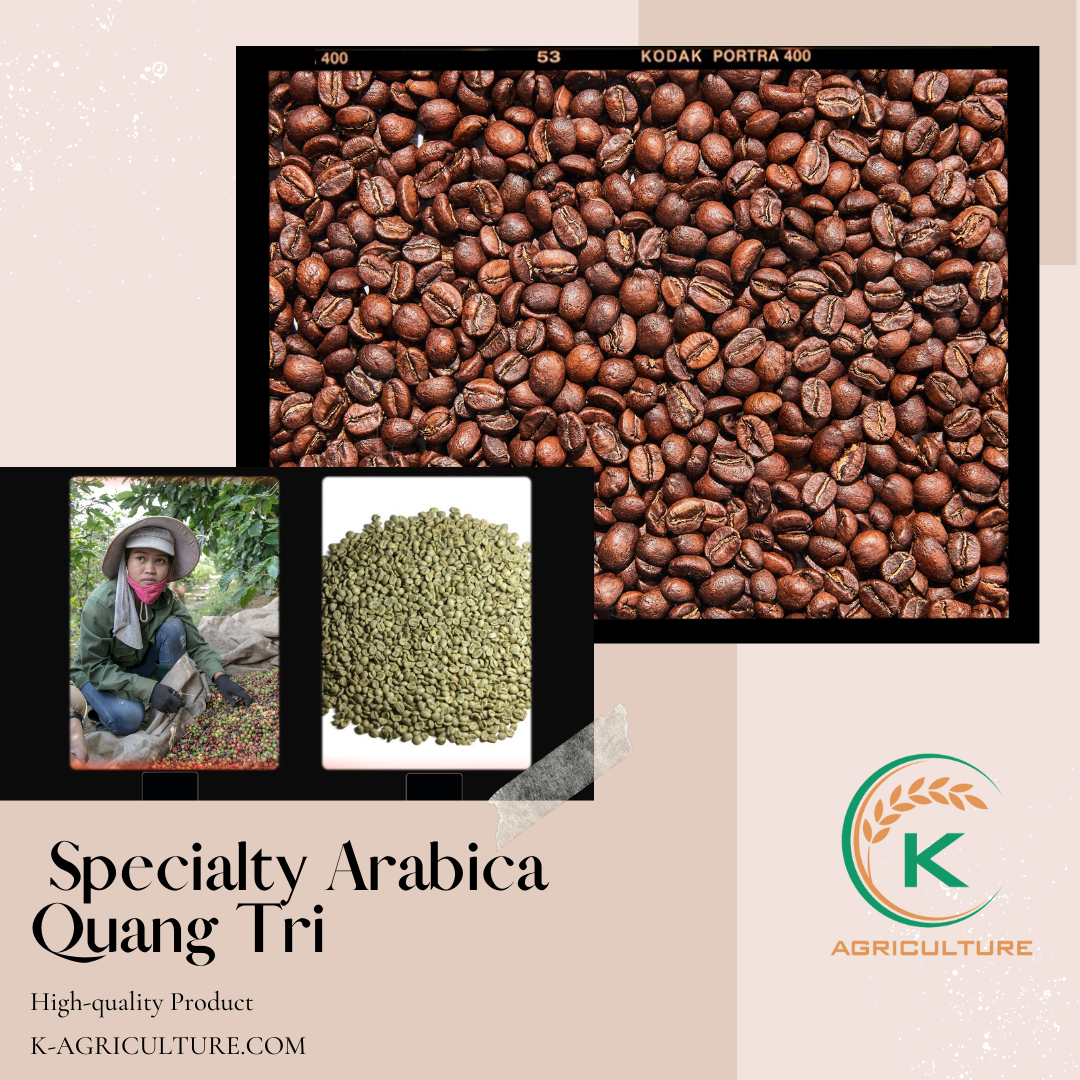 Specialty-Arabica-Quang-Tri-1