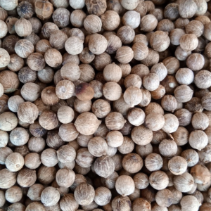 White pepper ground and 6 outstanding benefits