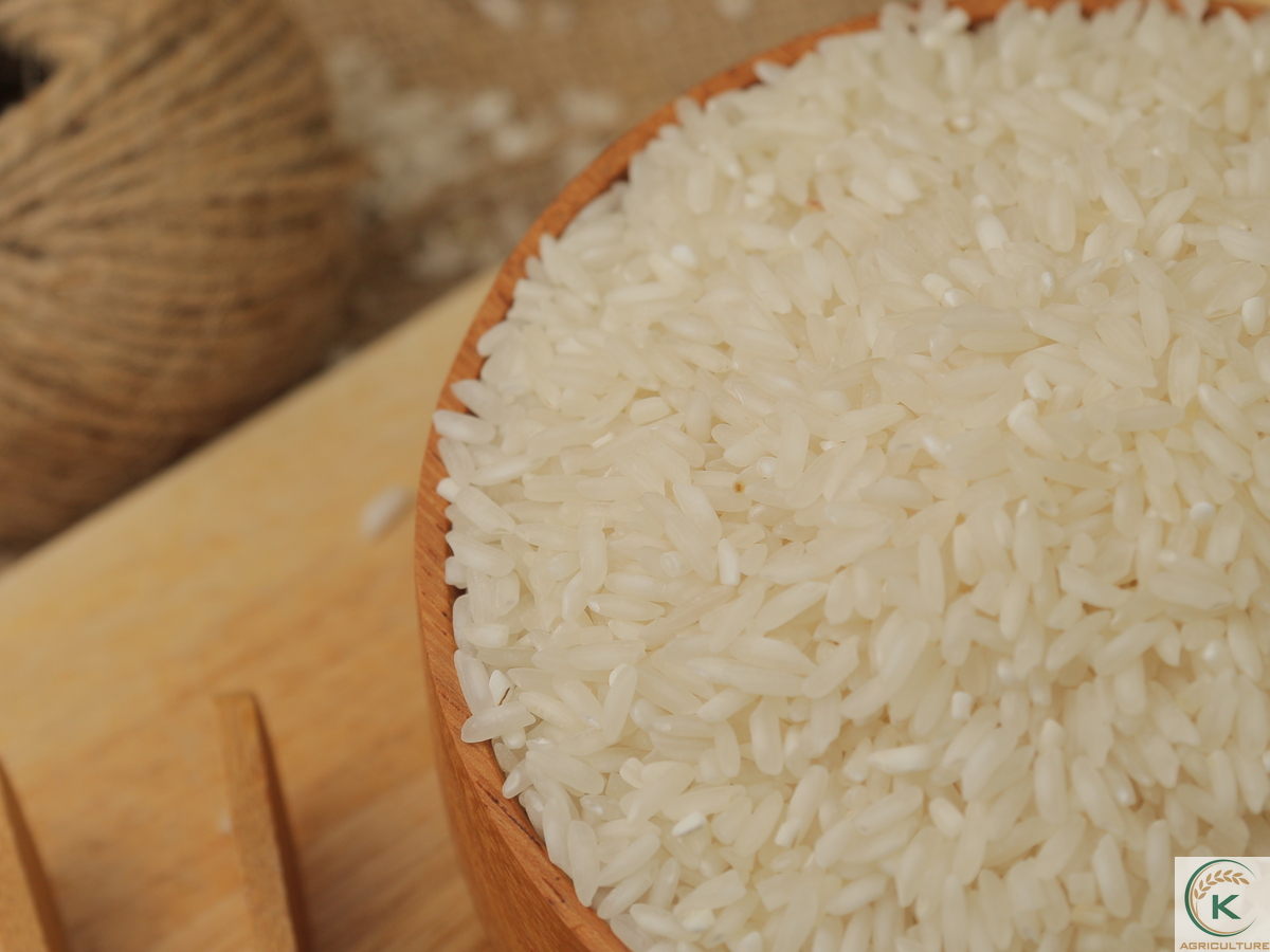 White-rice-product.jpg